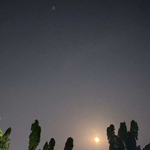 TEST - Picture 14 of 16